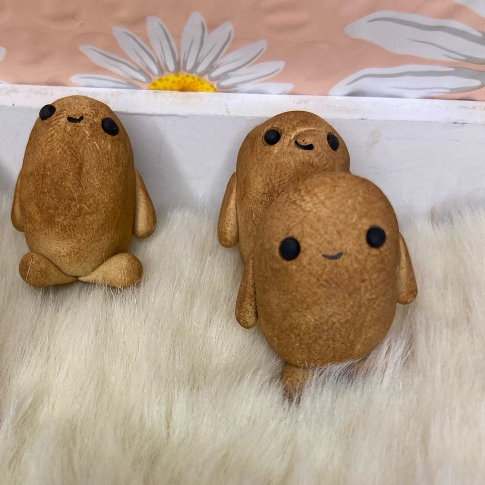 Pet potato